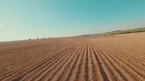 Campos de fazendas.