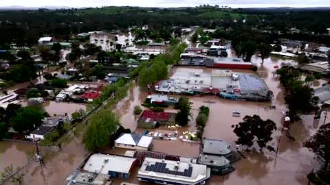 Australians race to save horses from flash floods