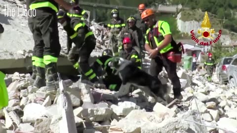 These Heroes Are Saving Animals After Italy's Devastating Earthquake