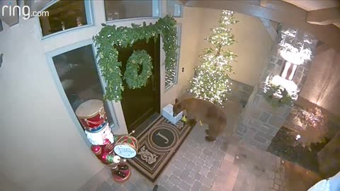 Curious Package Thief Get s Seen Taking Wife s Birthday Present Via Ring Spotlight Cam RingTV