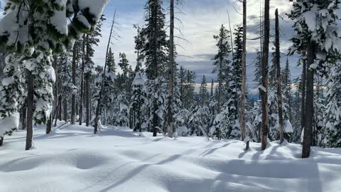 Beautiful Snowy Mountainside – Central Oregon – Vista Butte Sno-Park – 4K