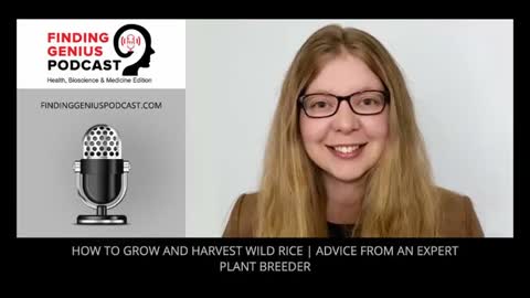 How To Grow And Harvest Wild Rice | Advice From An Expert Plant Breeder