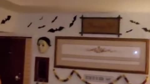 Bat flying loose in woman’s house, which is coincidentally decorated with bat decor...