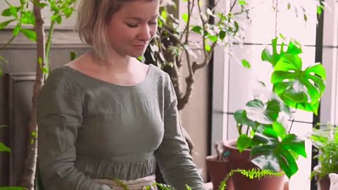 Indoor Bonsai Trer Planting | Best Landscaping Idias | Link IN BIO #shorts
