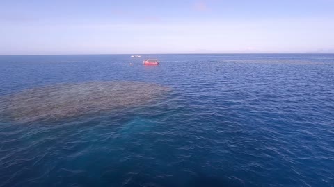 Cairns to Great Barrier Reef