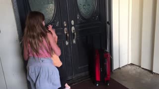 Family reunites with giant Newfoundland dog