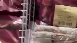 Mice being sold as meat