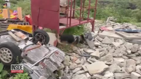 Rescue Dogs Trained to Rescue Humans