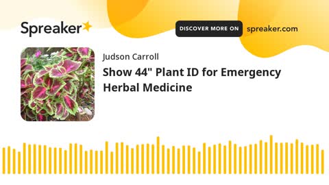 Show 44: Plant ID for Emergency Herbal Medicine (part 2 of 3)