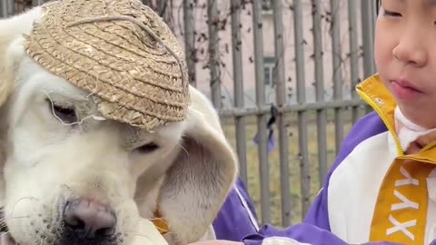 Sweet Bonds: Baby Girl's Heartwarming Bread Sharing Moment with Her Loyal Dog