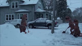 T-Rex Snow Removal Service