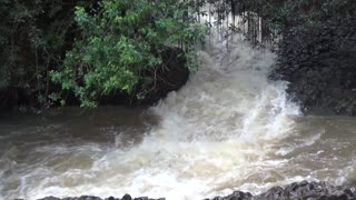 Haiku, HI — Twin Falls Maui #2