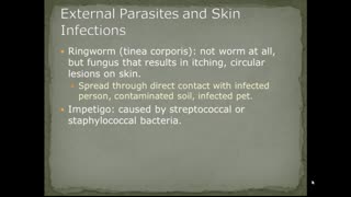 AEMT Ch 28 Infectious Illnesses