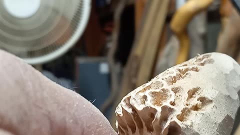 Working on a carved Morel mushroom