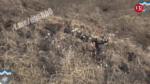 "We didn't let insects hide" – Ukrainian attack battalion strikes trench where Russians were hiding