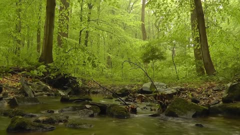 A landscape with running water and nature sounds for meditation and happiness