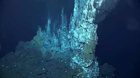 Exploring the Deep Mystery of Life's Origins