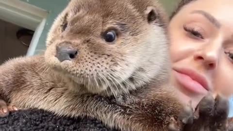 Sometimes all you need is an otter wishing you a happy friyay 🥰