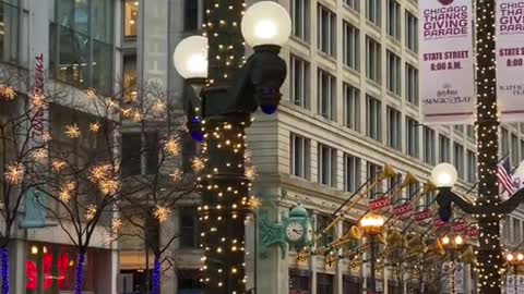 the holiday lights on state street in chicago