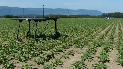 Autonomous Weeding Robot