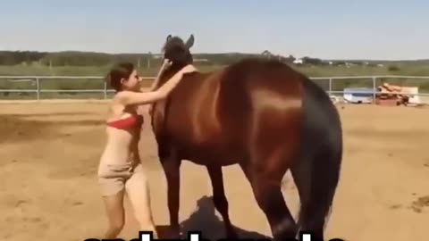 This Horse has 200 IQ ❤