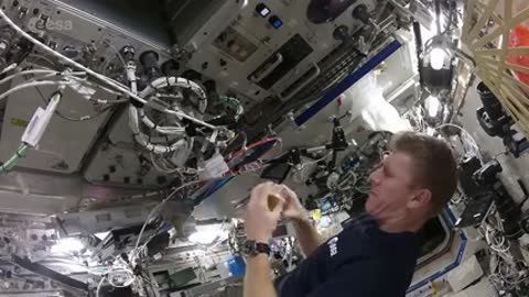 Astronaut shows us how to make scrambled eggs in space!