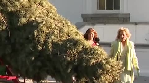 Jill Biden Welcomes 2022 Christmas Tree to White House
