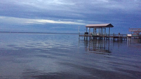 Dolphin pod rounds up on school of Mullet