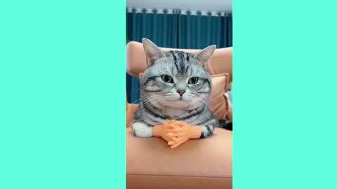 Cute and Funny Animal Video😂|| Funniest Viral Cat clips😹