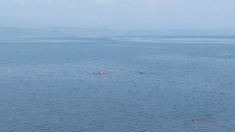 Crazy shoot at kivu lake