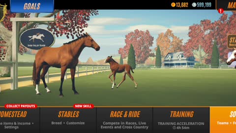 Rival Stars Horse Racing - jumping and updated stables