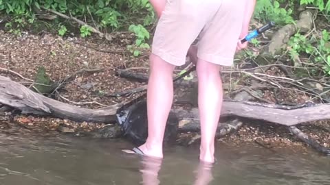 Husband Saves Struggling Bird