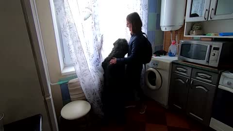 Abandoned Ukrainian dog finds love in new home