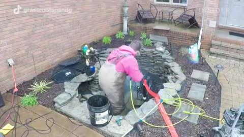 How An Algae-Infested Koi Fish Pond Is Deep Cleaned Deep Cleaned Insider