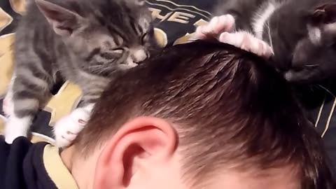 Kittens suckling on head