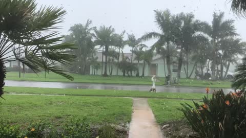 Florida Tropical Storm