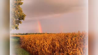 Giving Him Back His Rainbow- 30 Days Of Gods Love