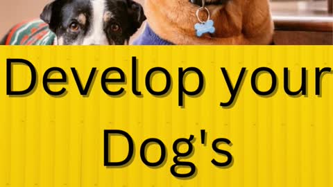 Develops your Dog's "Hidden Intelligence"