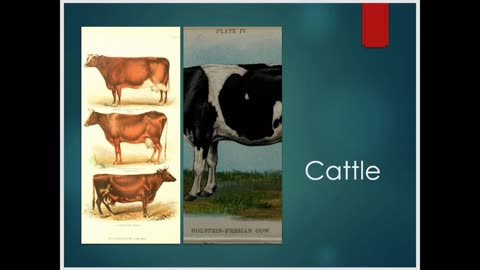 Cattle Inbreeding Rates in the Holstein and Jersey Breeds