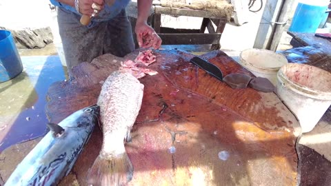 Amazing Sea Bass Cutting Skills _ Fish Cutting Skills