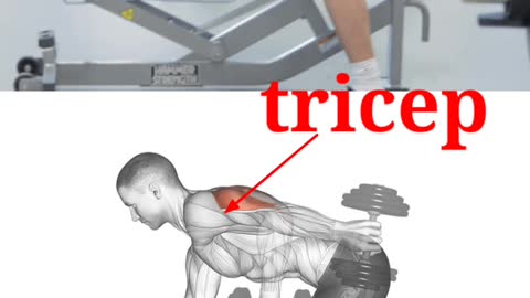 Workout gym tricep