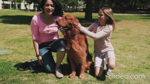 outdoor playing dog with kids