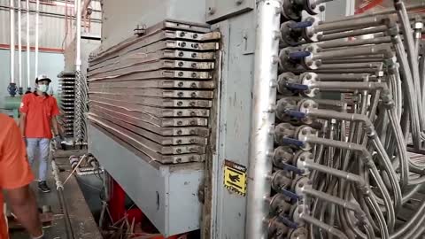 Crazy Wood Processing Machines | Biggest Wood Cutting Factory | Sawmills