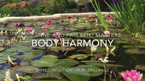 09/15/21 Meditation & Reiki Sampler Body Harmony