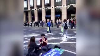 Environmental protesters throw paint at UK parliament