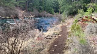 Gorgeous River Hike – Metolius River – Central Oregon