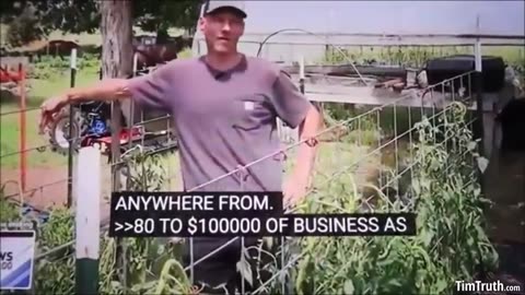 Farmer Insists That All His Crops Were Sprayed With Poison! Wilting And Dying Plants = Smoking Gun?