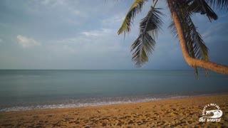 "A day at the beach restores the soul."