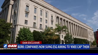 OANN - Bork: Companies Now Suing ESG Aiming To ‘Knee Cap’ Them