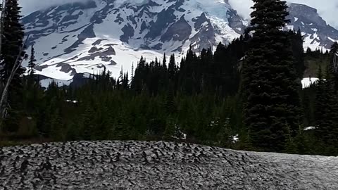 Mount Rainier on a spectacular June 23rd 75 degree day.